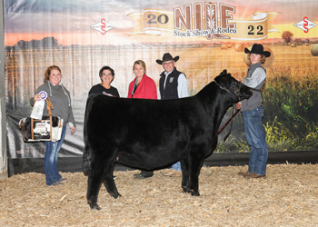 Grand Champion Bred-and-owned Female