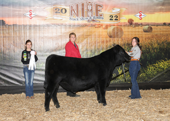 Reserve Grand Champion Bred-and-owned Bull