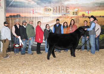 Reserve Grand Champion Owned Female