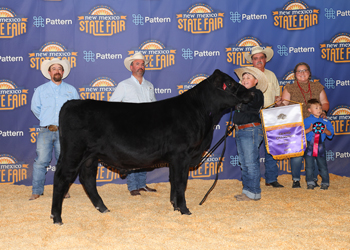 Grand Champion Bull