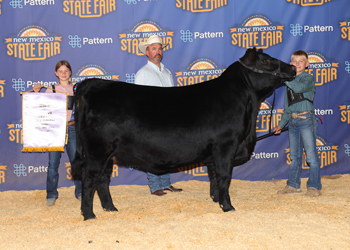 Reserve Grand Champion Female