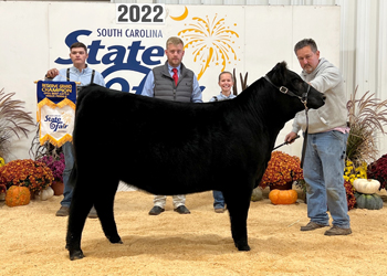 Reserve Grand Champion Female