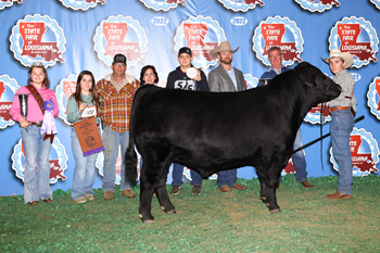 Grand Champion Bull