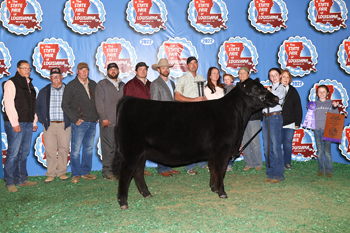 Grand Champion Female