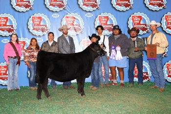 Reserve Grand Champion Female