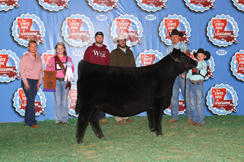 Reserve Grand Champion Female