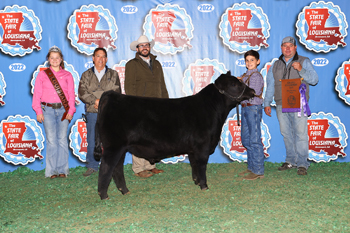 Grand Champion Bull