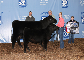 Reserve Grand Champion Cow-calf Pair