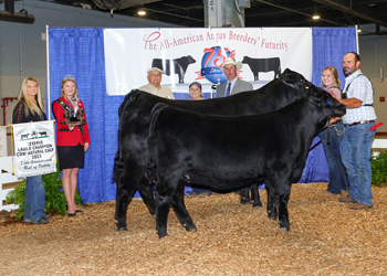 Reserve Grand Champion Cow-calf Pair