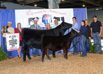 Grand Champion Cow-calf Pair