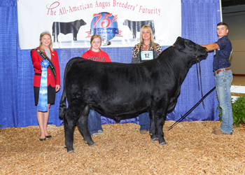 Reserve Senior Bull Calf Champion