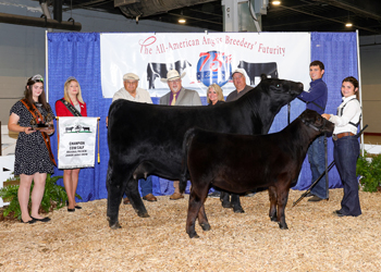 Grand Champion Cow-calf Pair