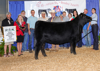 Grand Champion Bred-and-owned Female