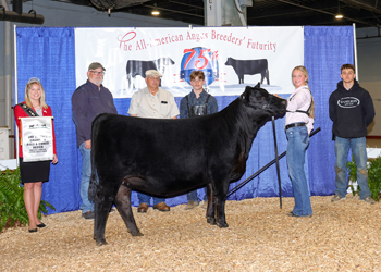 Third Overall Bred-and-owned Champion Female