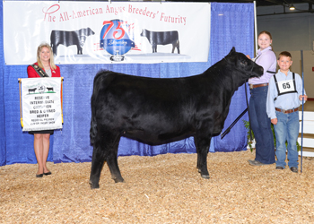 Bred-and-owned Reserve Intermediate Champion Heifer