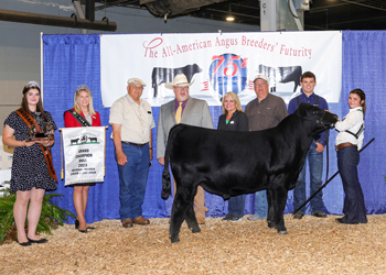 Grand Champion Bred-and-owned Bull