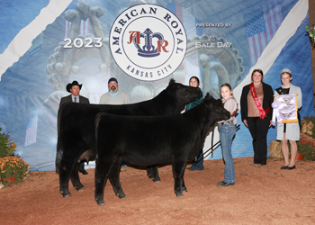 Reserve Grand Champion Cow-calf Pair