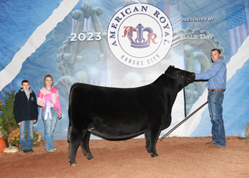 Reserve Junior Champion Heifer