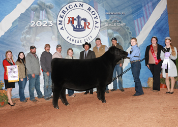 Reserve Grand Champion Female