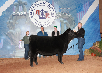 Reserve Senior Heifer Calf Champion