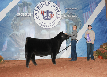 Junior Heifer Calf Champion