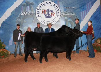 Reserve Grand Champion Cow-calf Pair