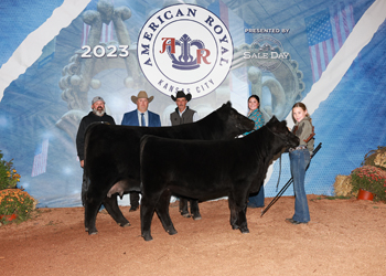 Grand Champion Cow-calf Pair