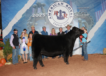 Reserve Grand Champion Owned Female