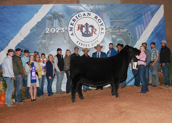 Grand Champion Owned Female