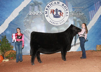 Owned Reserve Intermediate Champion Heifer