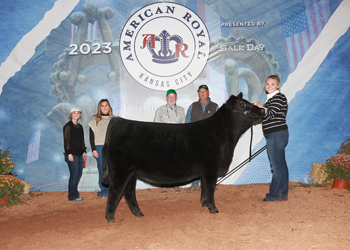 Owned Reserve Senior Heifer Calf Champion