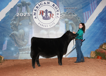 Owned Junior Heifer Calf Champion