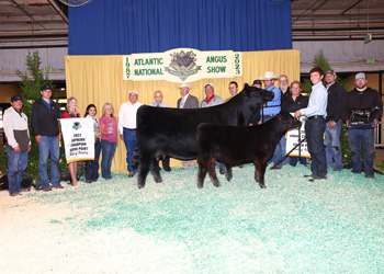 Grand Champion Female