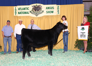 Fall Heifer Calf Champion