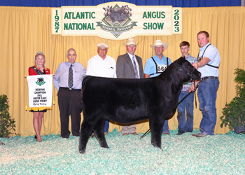 Reserve Fall Heifer Calf Champion