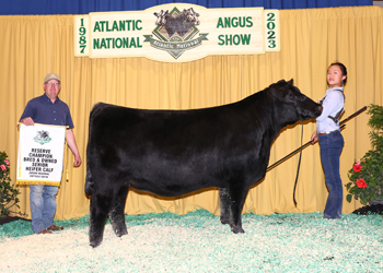 Bred-and-owned Reserve Senior Heifer Calf Champion