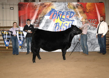 Reserve Grand Champion Owned Female