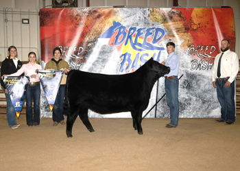 Grand Champion Owned Female