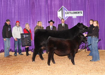 Reserve Grand Champion Cow-calf Pair