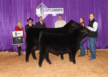 Grand Champion Cow-calf Pair