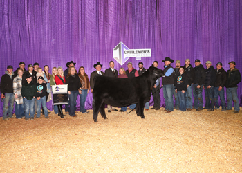 Grand Champion Female