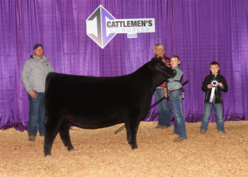 Reserve Senior Heifer Calf Champion - Division 1