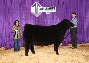 Reserve Senior Heifer Calf Champion - Division 2