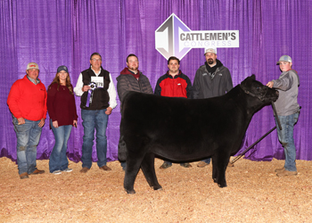 Senior Heifer Calf Champion - Division 1