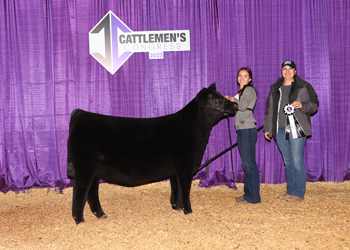 Reserve Junior Heifer Calf Champion - Division 2