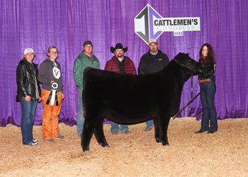 Reserve Junior Heifer Calf Champion - Division 5