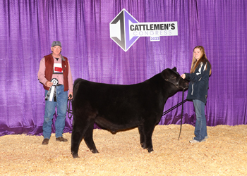 Reserve Junior Bull Calf Champion - Division 1