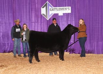 Reserve Junior Heifer Calf Champion - Division 4