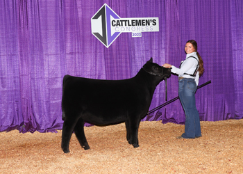 Junior Heifer Calf Champion - Division 1