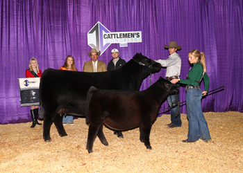 Grand Champion Cow-calf Pair